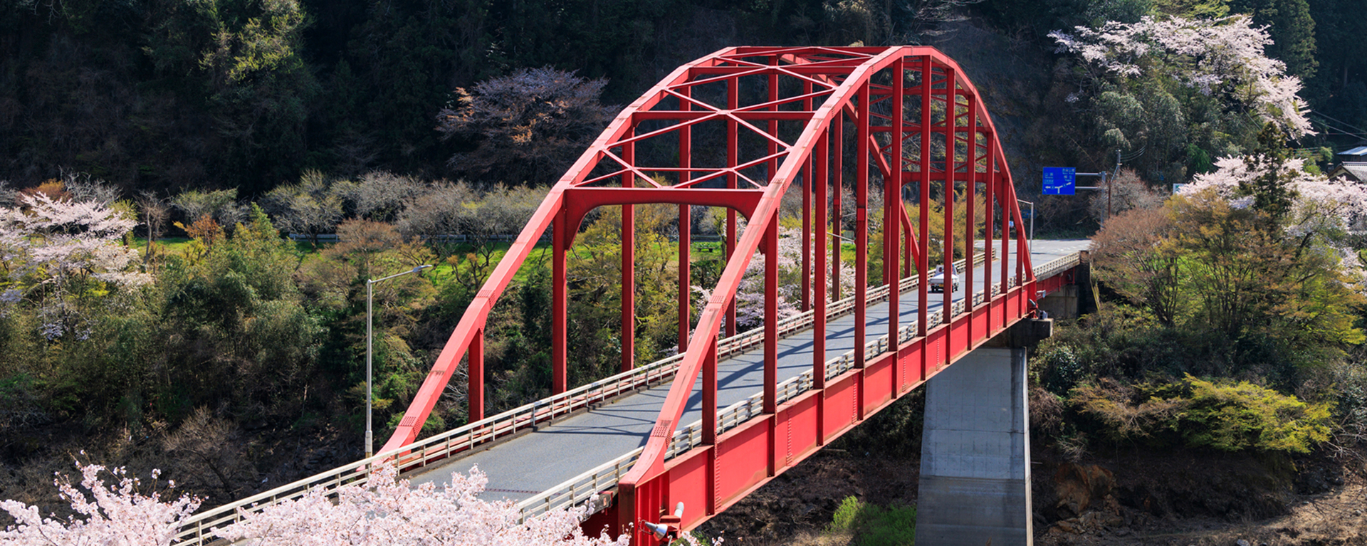 月ヶ瀬の風土が育む、香り高い茶葉をお届け。